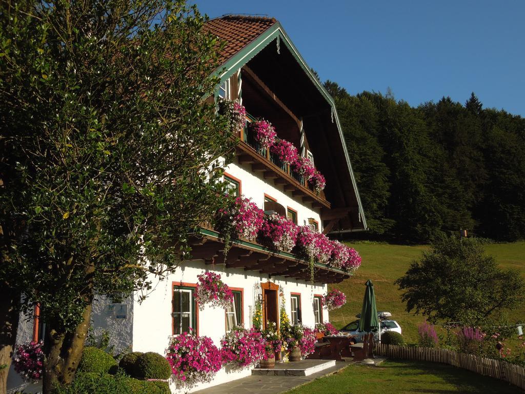 Wohlfuehlbauernhof Bambichlhof Vila Fuschl am See Exterior foto