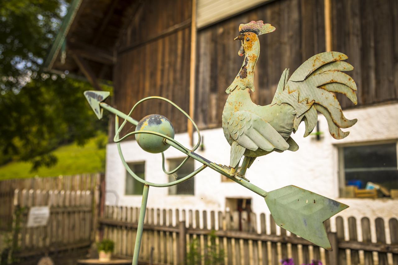 Wohlfuehlbauernhof Bambichlhof Vila Fuschl am See Exterior foto
