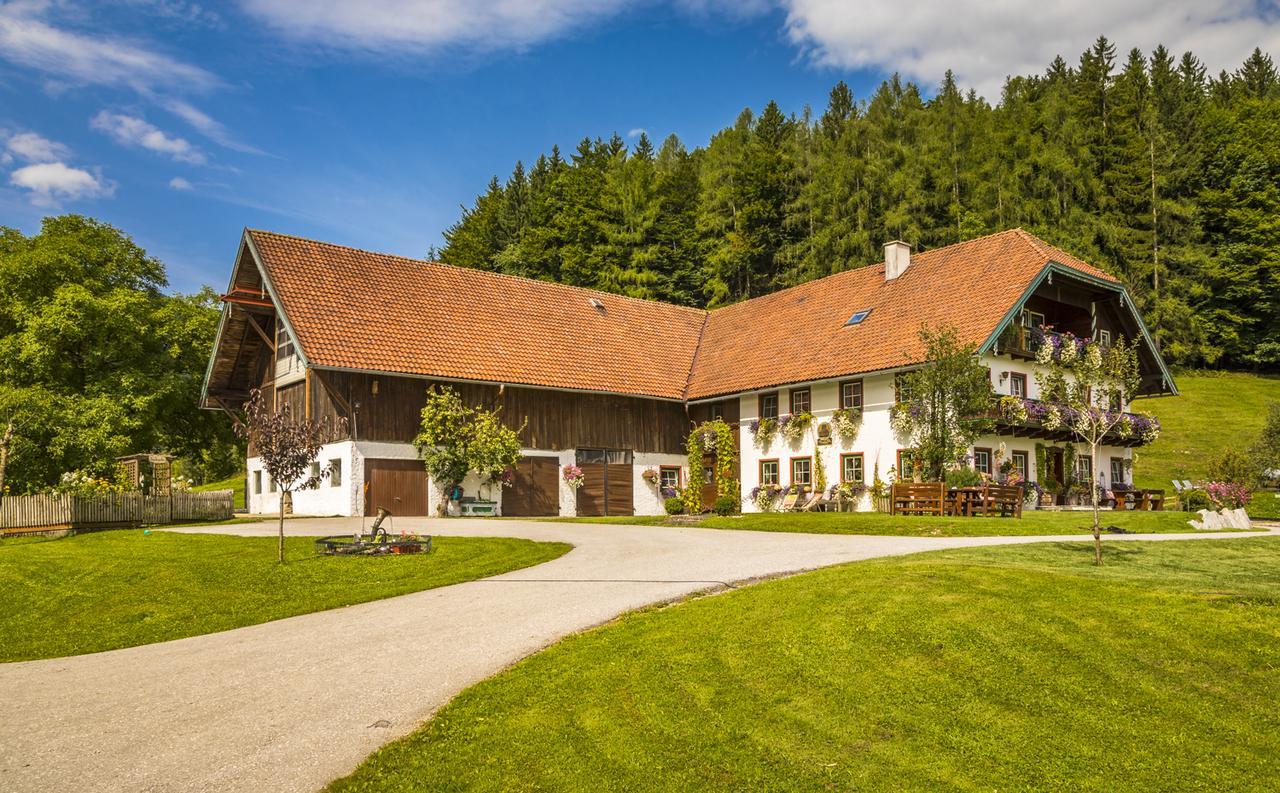 Wohlfuehlbauernhof Bambichlhof Vila Fuschl am See Exterior foto