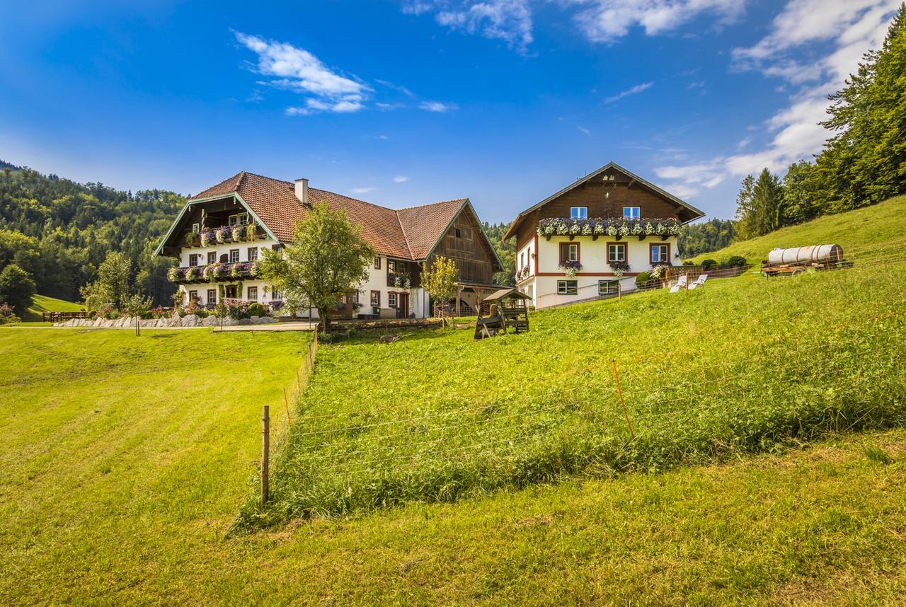 Wohlfuehlbauernhof Bambichlhof Vila Fuschl am See Exterior foto