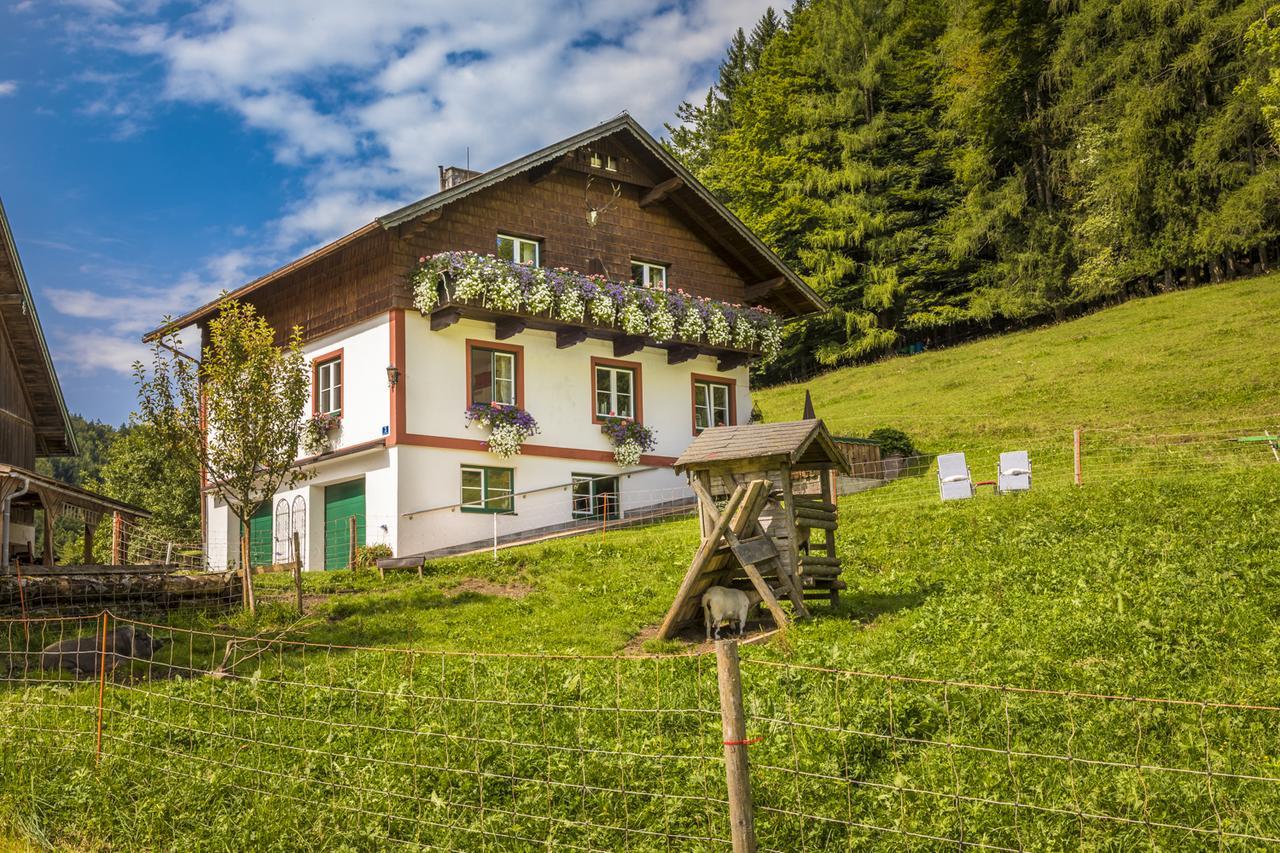 Wohlfuehlbauernhof Bambichlhof Vila Fuschl am See Exterior foto