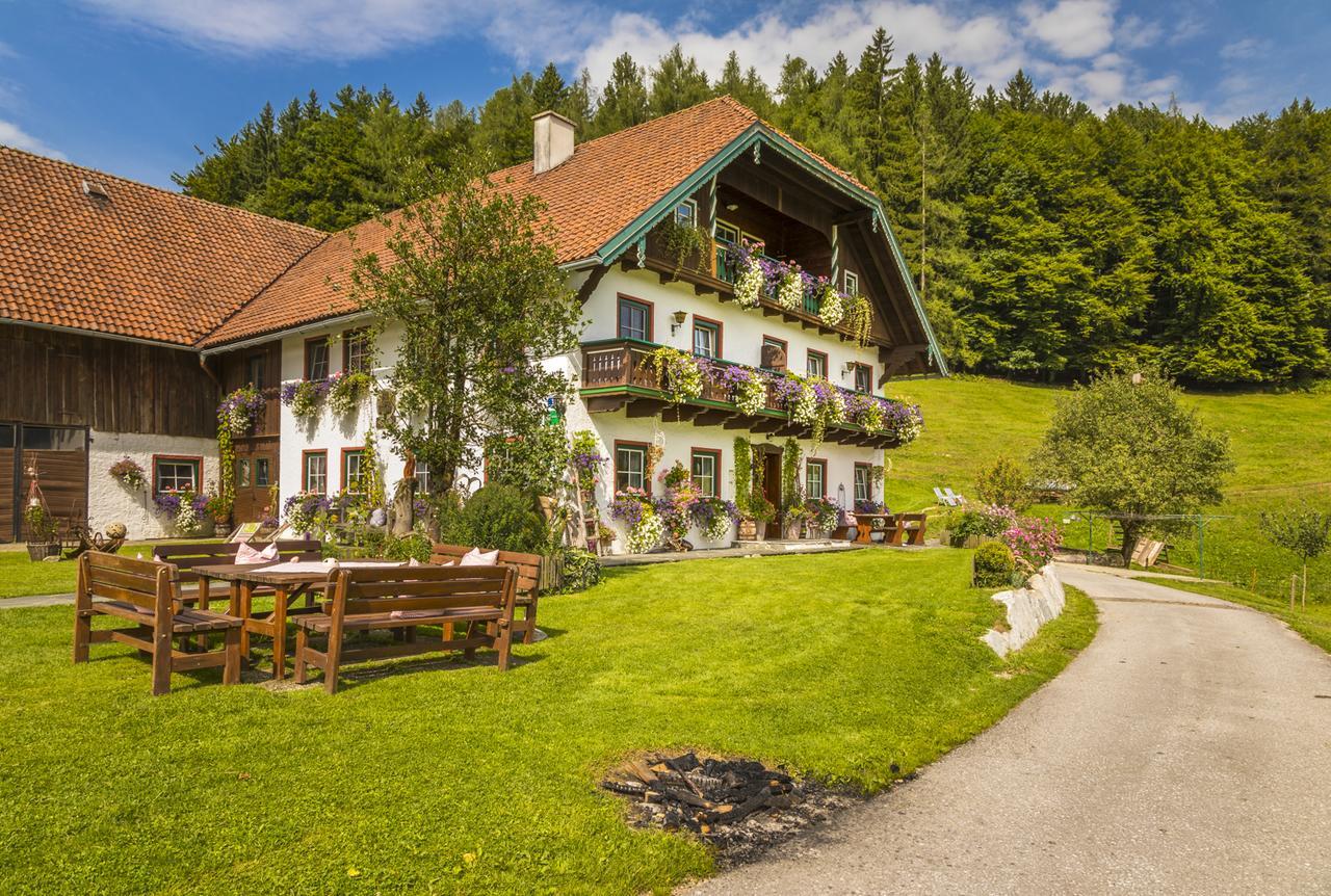 Wohlfuehlbauernhof Bambichlhof Vila Fuschl am See Exterior foto