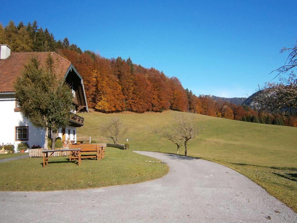 Wohlfuehlbauernhof Bambichlhof Vila Fuschl am See Exterior foto